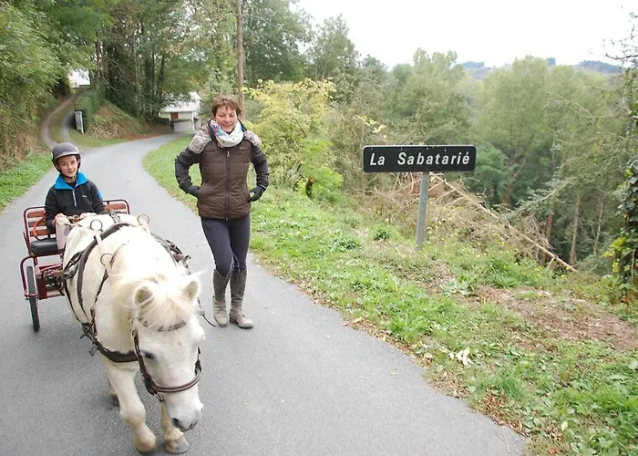 بيت ضيافة Les Ecuries De La Sabatarie Cambounes