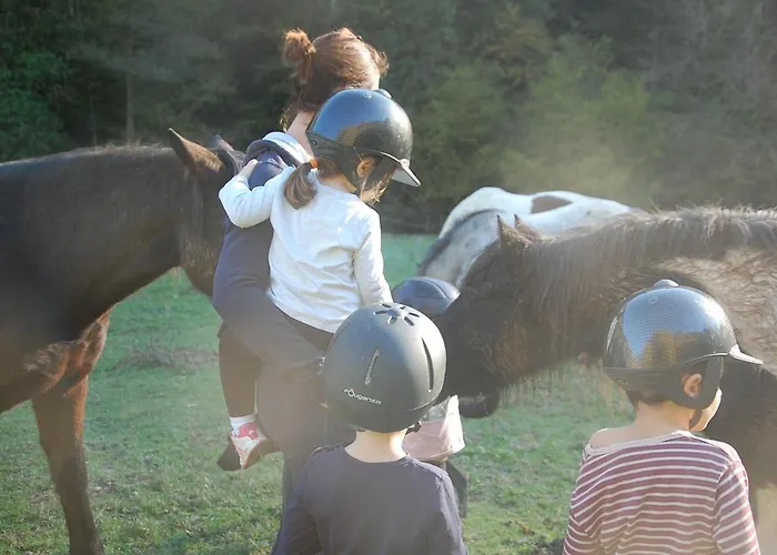 Les Ecuries De La Sabatarie بيت ضيافة Cambounes