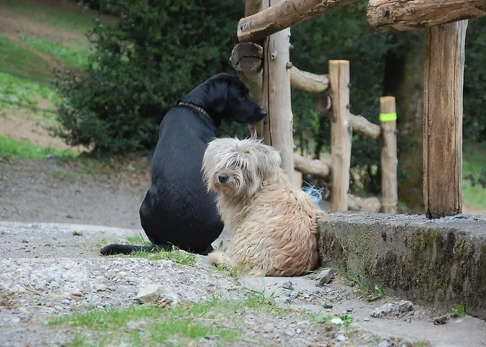 Les Ecuries De La Sabatarie بيت ضيافة