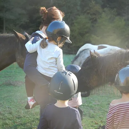 Les Ecuries De La Sabatarie Gæstehus Cambounes