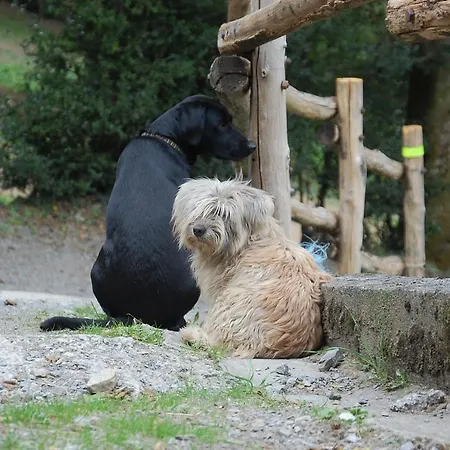 Les Ecuries De La Sabatarie Gæstehus