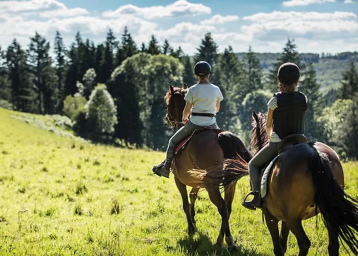 Les Ecuries De La Sabatarie Gasthuis *